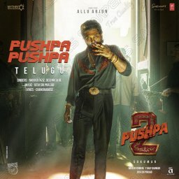 Pushpa Pushpa (From "Pushpa 2 The Rule") - Single (Telugu) [2024] (T-Series)